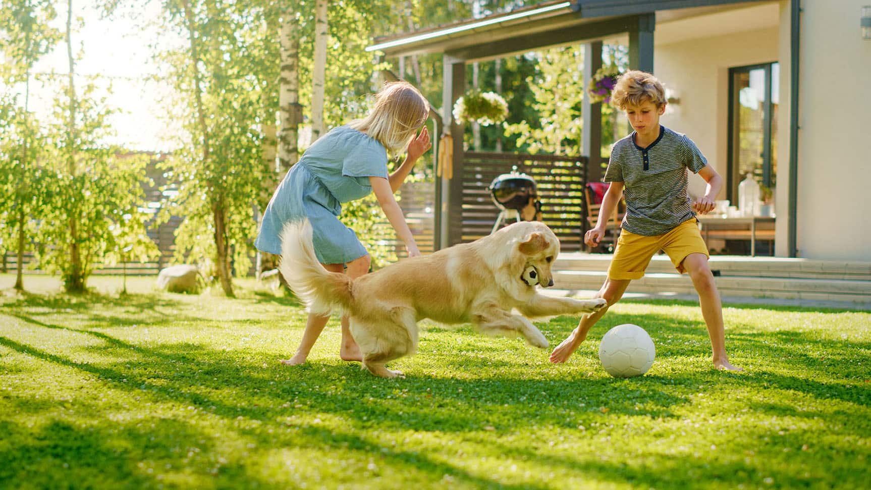 two children and a dog playing with a ball