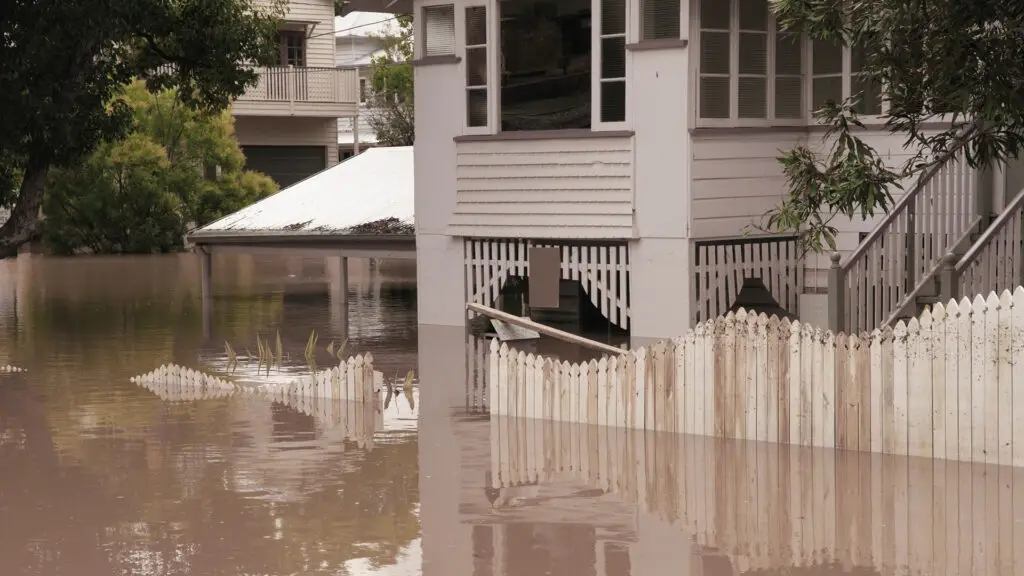 Flood Adjusters 101: The Art Of Claim Assessment 4 flood adjusters