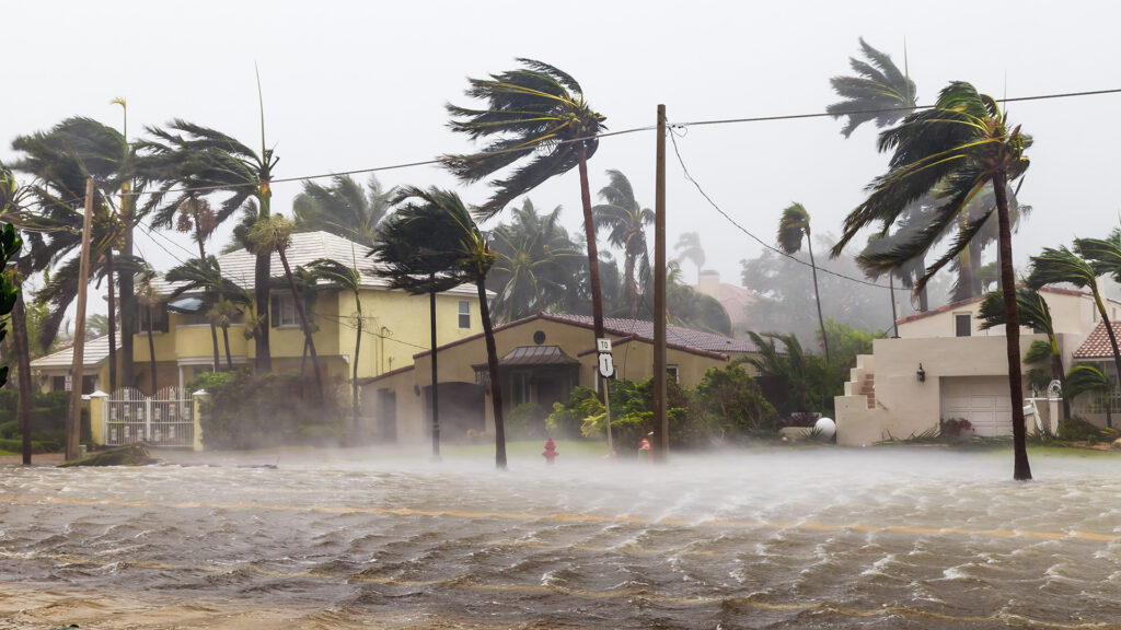 a flooded street with palm trees blowing in the wind