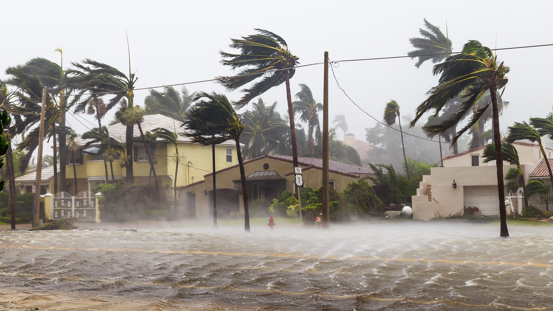Homeowners Insurance Cover. How to prepare for hurricane season. How to Prepare for a Hurricane. 2025 hurricane. does homeowners insurance cover hurricane damage