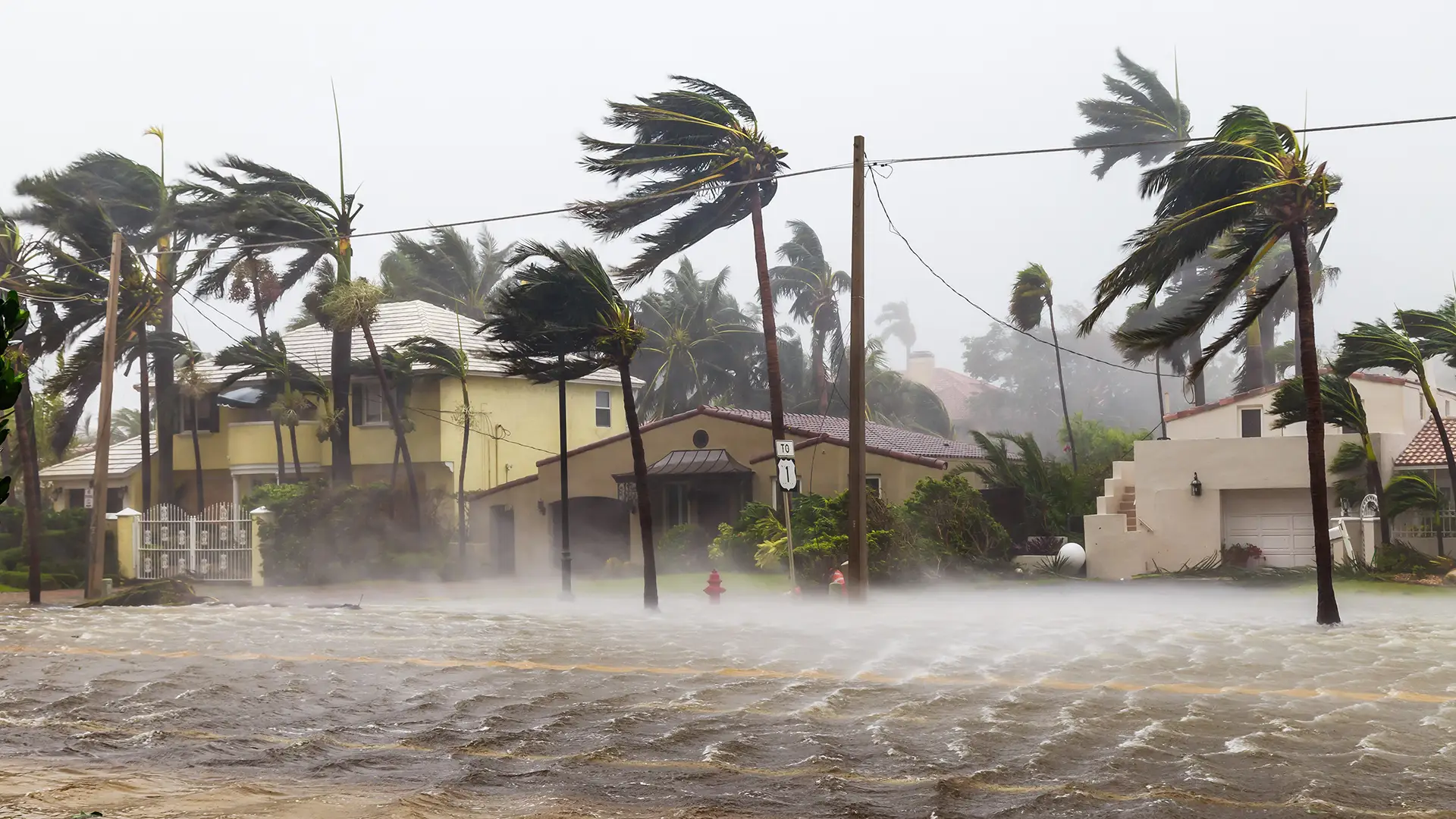 Homeowners Insurance Cover. How to prepare for hurricane season. How to Prepare for a Hurricane. 2025 hurricane. does homeowners insurance cover hurricane damage