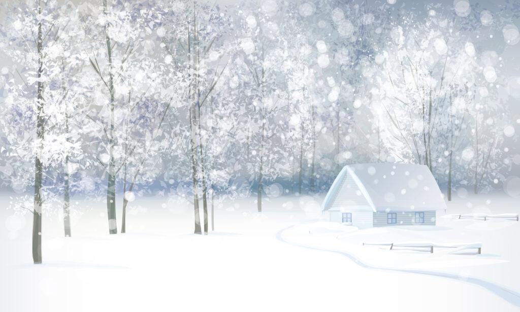 a house in the snow surrounded by trees